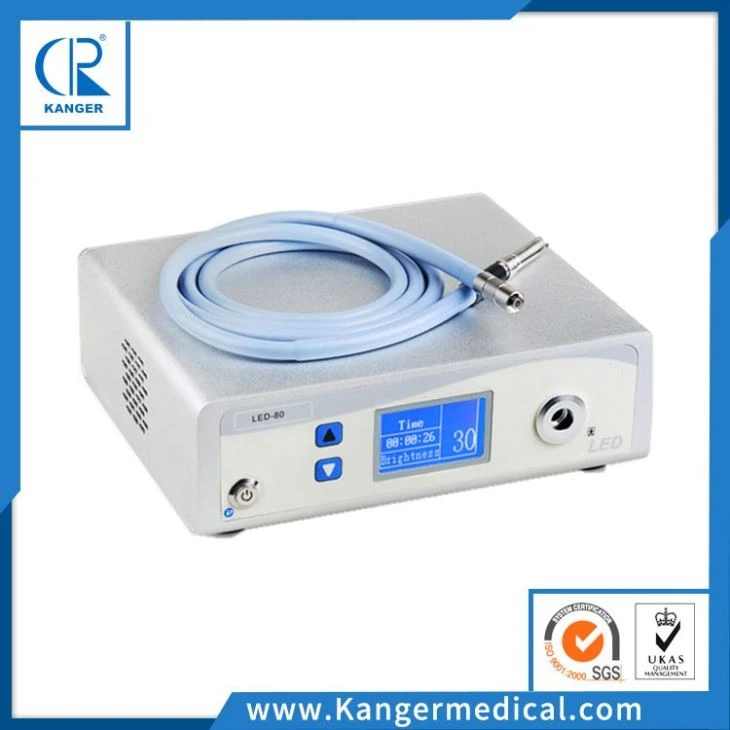 LED Light Source