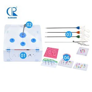 Lap Endo Trainer